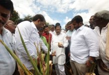 ಮೈಸೂರು ಜಿಲ್ಲೆಗೆ ಡಿಸಿಎಂ ಪರಮೇಶ್ವರ್ ಭೇಟಿ, ಬರ ಪರಿಶೀಲನೆ