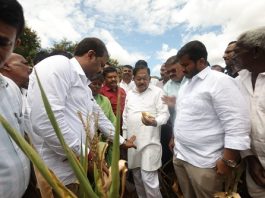 ಮೈಸೂರು ಜಿಲ್ಲೆಗೆ ಡಿಸಿಎಂ ಪರಮೇಶ್ವರ್ ಭೇಟಿ, ಬರ ಪರಿಶೀಲನೆ