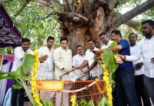 “Save Hindu Temples” ಉಪಕ್ರಮಕ್ಕೆ ಸಂಸದ ಯದುವೀರ್ ಒಡೆಯರ್ ಚಾಲನೆ