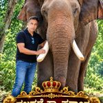 ಚಿನ್ನದ ಅಂಬಾರಿ ಹೊರುವ ಆನೆಯಾಗಿ “ಪ್ರಶಾಂತ್” : ಆಯ್ಕೆ ಮಾನದಂಡಗಳೇನು..?