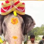 ಮೈಸೂರು ಅರಮನೆಗೆ ಎಂಟ್ರಿಕೊಟ್ಟ ಅಭಿಮನ್ಯು: ವಿಶೇಷ ಪೂಜೆ ಸಲ್ಲಿಕೆ