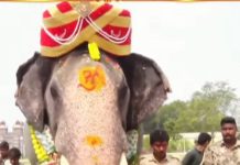 ಮೈಸೂರು ಅರಮನೆಗೆ ಎಂಟ್ರಿಕೊಟ್ಟ ಅಭಿಮನ್ಯು: ವಿಶೇಷ ಪೂಜೆ ಸಲ್ಲಿಕೆ