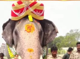 ಮೈಸೂರು ಅರಮನೆಗೆ ಎಂಟ್ರಿಕೊಟ್ಟ ಅಭಿಮನ್ಯು: ವಿಶೇಷ ಪೂಜೆ ಸಲ್ಲಿಕೆ