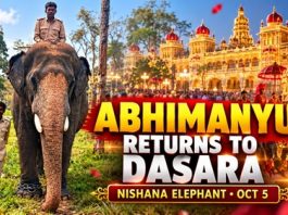 JUST IN; ಮೈಸೂರು ಅರಮನೆಗೆ ಕ್ಯಾಪ್ಟನ್ ಅಭಿಮನ್ಯು ಅ.5ರಂದು” ನಿಶಾನೆ”