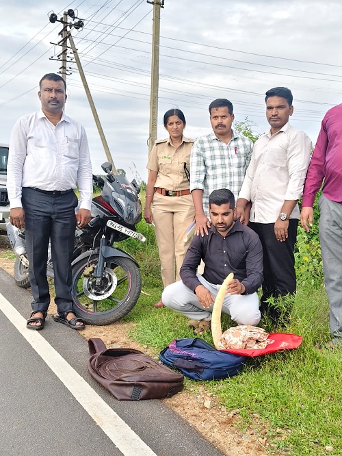 ಅನೆ ದಂತ ಅಕ್ರಮ ಸಾಗಾಟ: ಇಬ್ಬರ ಬಂಧನ