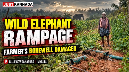 Bore well farmer borwell