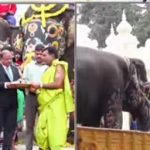 ಮೈಸೂರು ದಸರಾ ಯಶಸ್ವಿ: ಗಜಪಡೆಗೆ ಬೀಳ್ಕೊಡುಗೆ, ಕಾಡಿನತ್ತ ಹೆಜ್ಜೆ ಹಾಕಿದ ಆನೆಗಳು ಮೈಸೂರು ದಸರಾ ಯಶಸ್ವಿ: ಗಜಪಡೆಗೆ ಬೀಳ್ಕೊಡುಗೆ, ಕಾಡಿನತ್ತ ಹೆಜ್ಜೆ ಹಾಕಿದ ಆನೆಗಳು