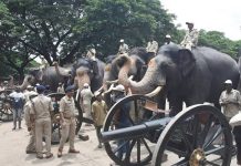 3ನೇ ಹಂತದ ಕುಶಾಲತೋಪು ಸಿಡಿಸುವ ತಾಲೀಮು: ಬೆದರದ ಆನೆಗಳು, ಅಶ್ವಗಳು