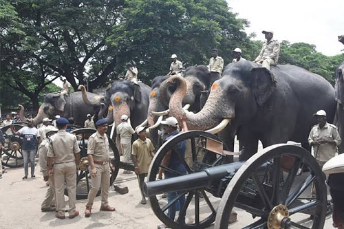 Mysore dasara
