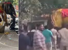 ಶಿವಮೊಗ್ಗ ದಸರಾ ಜಂಬೂಸವಾರಿ ವೇಳೆ ಅವಘಡ: ದಿಕ್ಕಾಪಾಲಾಗಿ ಓಡಾಡಿದ ಅಂಬಾರಿ ಆನೆ ಶಿವಮೊಗ್ಗ ದಸರಾ ಜಂಬೂಸವಾರಿ ವೇಳೆ ಅವಘಡ: ದಿಕ್ಕಾಪಾಲಾಗಿ ಓಡಾಡಿದ ಅಂಬಾರಿ ಆನೆ